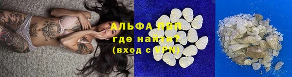 винт Верея
