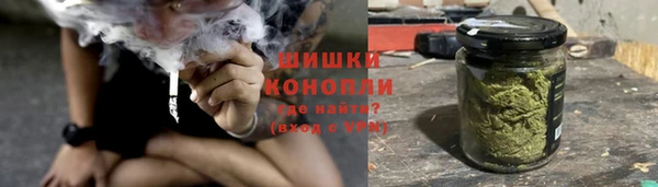 винт Верея