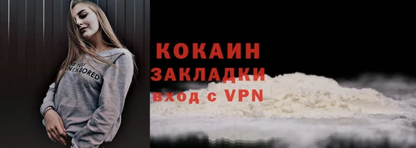 винт Верея