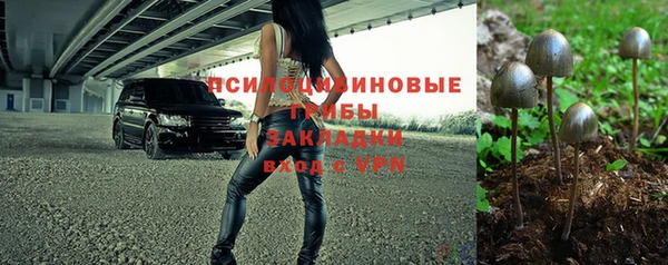 гидра Бронницы