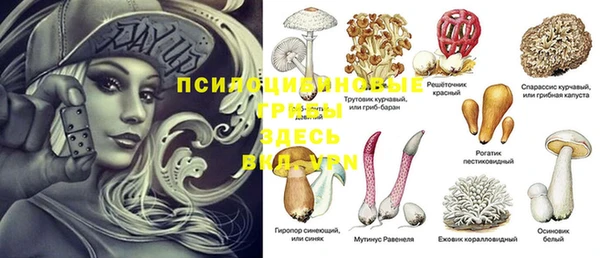 не бодяженный Бородино