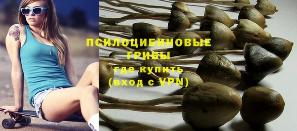 сатива Белоозёрский