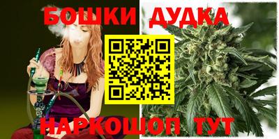 мдпв Обнинск